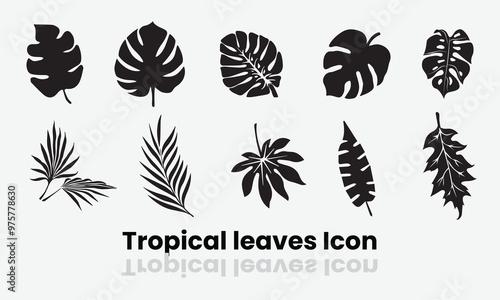 Tropical leaves monstera & palm tree icons