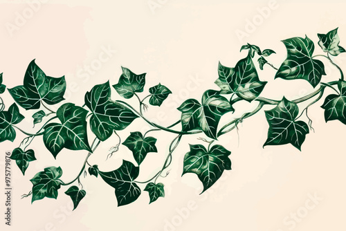 Elegant ivy vine illustration art