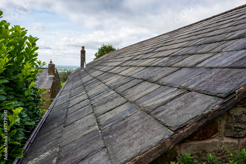 Close-up of a slate roof with lush greenery in the background.