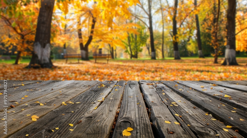 The empty wooden table top or floor made of old oak planks with blur background of autumn park. Exuberant image. The empty wooden table top or floor made of old oak planks with blur background of autumn park. Exuberant image.