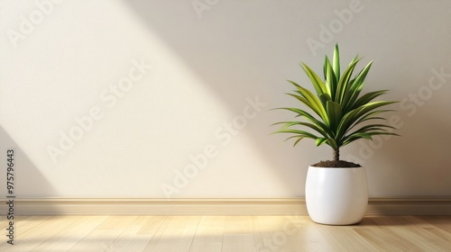 A single house plant placed in a white ceramic pot on a wooden floor, with a neutral-colored wall behind it