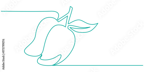 Continuous one line drawing of mango fruit with leaf. Mango fruit hand drawn single line art vector illustration, Continuous line drawing mango fruit. Healthy food natural organic concept.