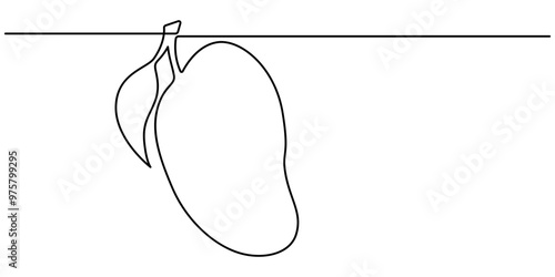 Continuous one line drawing of mango fruit with leaf. Mango fruit hand drawn single line art vector illustration, Continuous line drawing mango fruit. Healthy food natural organic concept.