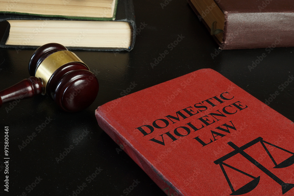 Domestic violence law - words on a book with a court gavel Domestic violence law - words on a book with a court gavel