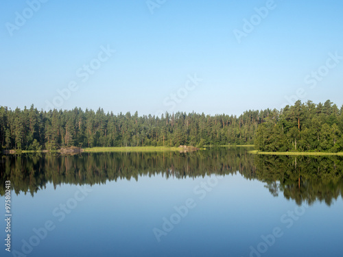 forest lake with reflections