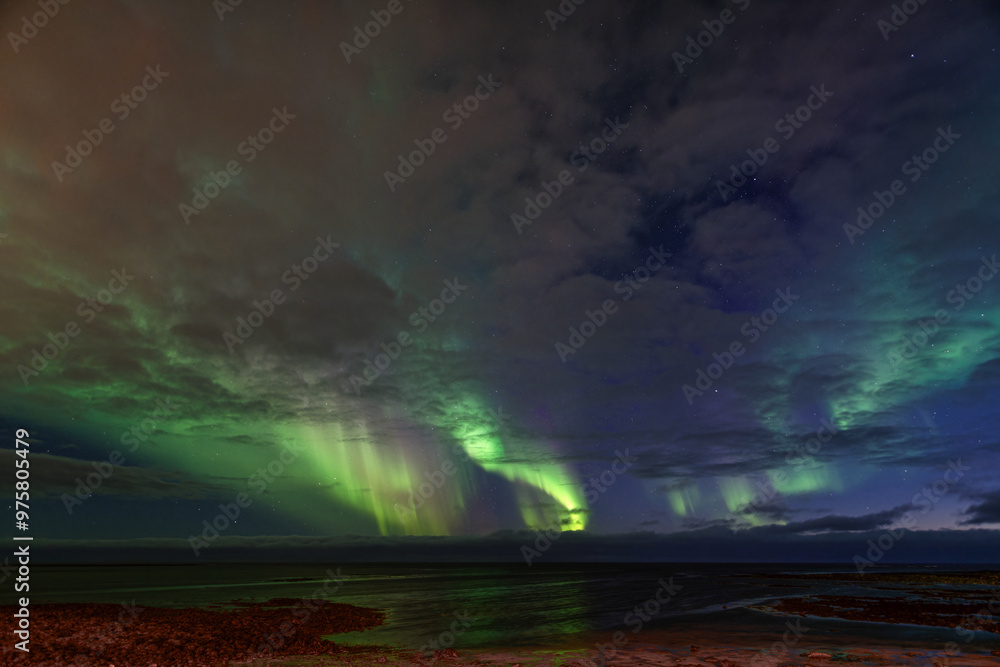 Obraz premium aurora borealis over the sea in Iceland