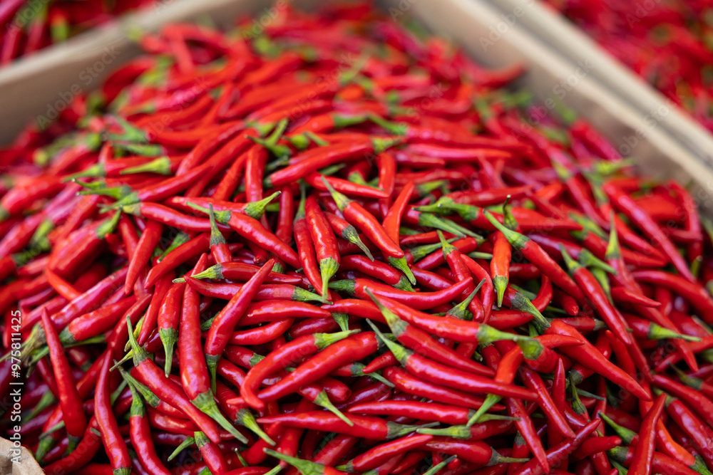 Chili peppers in a box. Asian market stall int he city. Exotic, vegetarian, ingredients, spice and vegetables. Chili peppers in a box. Asian market stall int he city. Exotic, vegetarian, ingredients, spice and vegetables.