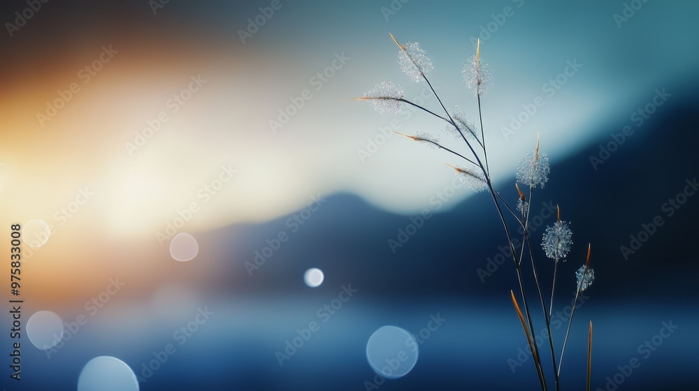 a plant by a body of water during sunset a plant by a body of water during sunset