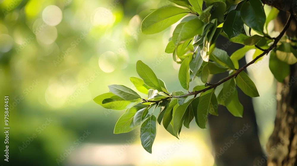 A tree branch in focus with a softly blurred background of leaves and ground A tree branch in focus with a softly blurred background of leaves and ground