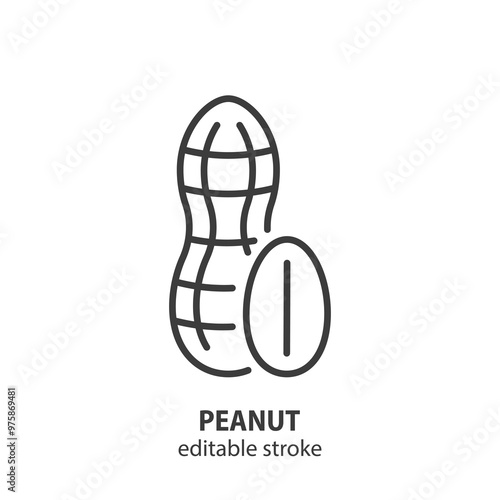 Peanut line icon. Nut sign. Vector illustration. Editable stroke.