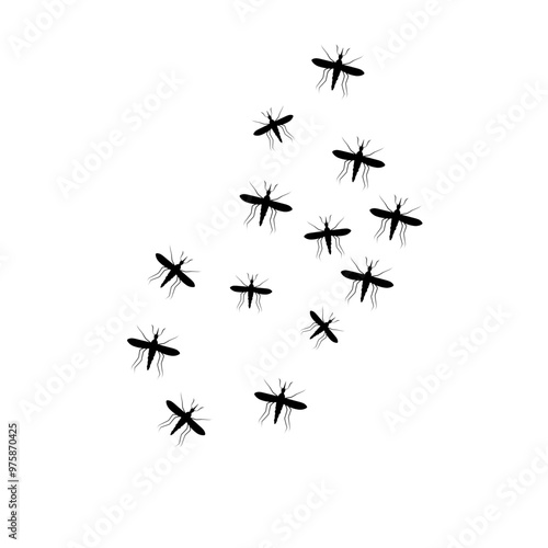 Swarm Of Flying Mosquitoes