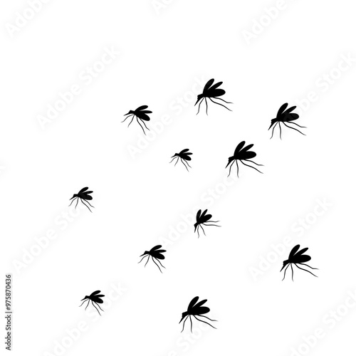 Swarm Of Flying Mosquitoes