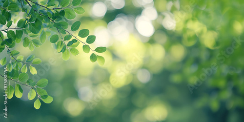 Lush Green Serenity: Nature-Inspired Backgrounds: Plants calming, leaf-filled green backgrounds offer ample space for your text. Perfect for eco-themed designs, nature lovers, or a fresh, natural vibe