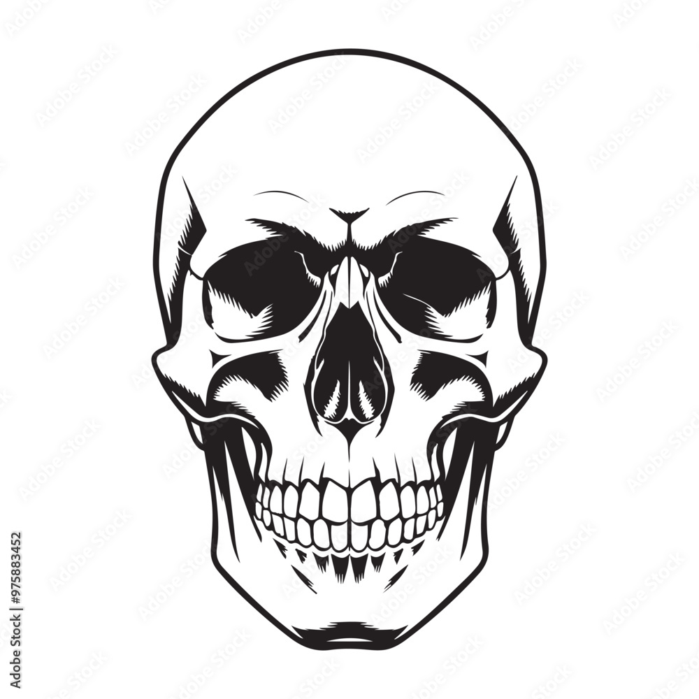 Fototapeta premium Human head skull vector, icon, illustration