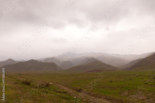 Beautiful green hills in the fog.