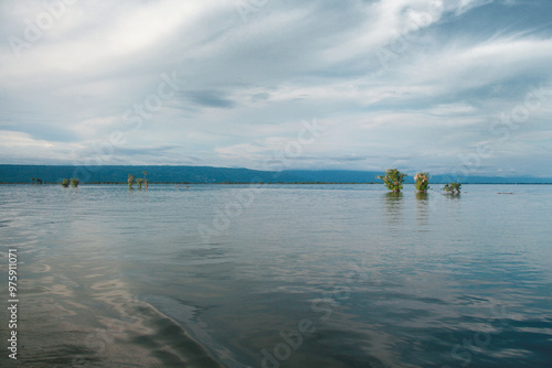 Small wonders are nature’s masterpieces