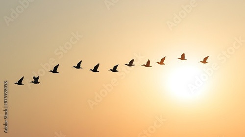 Silhouette of a flock of birds flying in formation across the sky