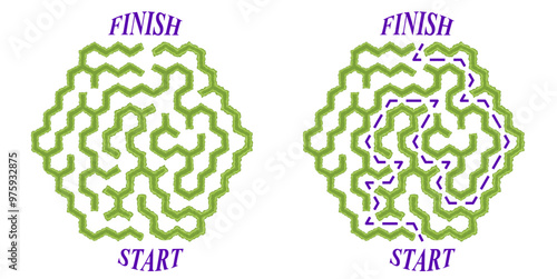 Green hedge maze vector Illustration. Top view of the open air hexagonal labyrinth made of garden bushes and grass. Easy difficulty level