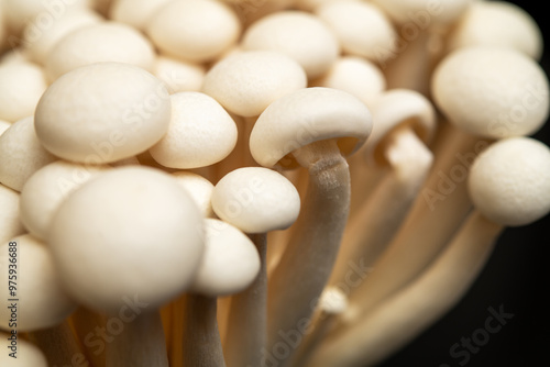 Fototapeta Naklejka Na Ścianę i Meble -  Fresh Enoki Mushrooms Close-Up: Delicious Gourmet Ingredient for Culinary Dishes and Healthy Recipes in Asian Cuisine