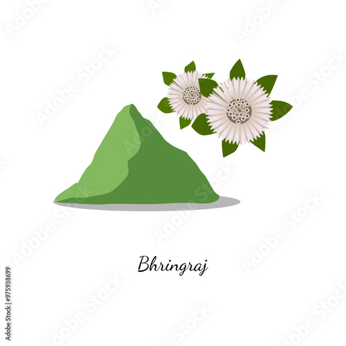 Bhringraj flower powder art illustration design vector