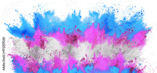 colorful transsexuality pride or lgbt flag with pink blue color holi paint powder explosion isolated white background. free transgender transsexual sexuality equal rights and CSD freedom concept.