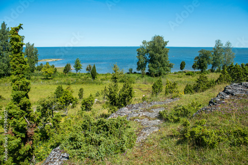 Uugu bluff or cliff on the Muhu Island in Estonia, located by the and near the island of Saaremaa photo