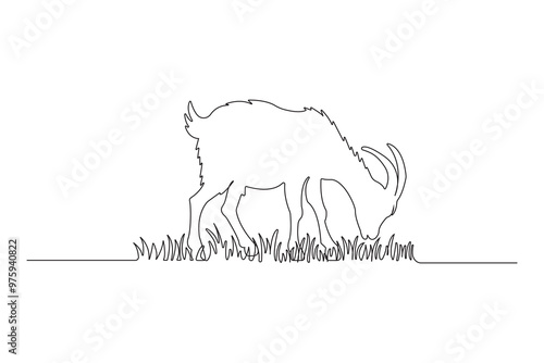 Continuous line art drawing of a goat eating grass. Hand-drawn goat illustration isolated on white background.
