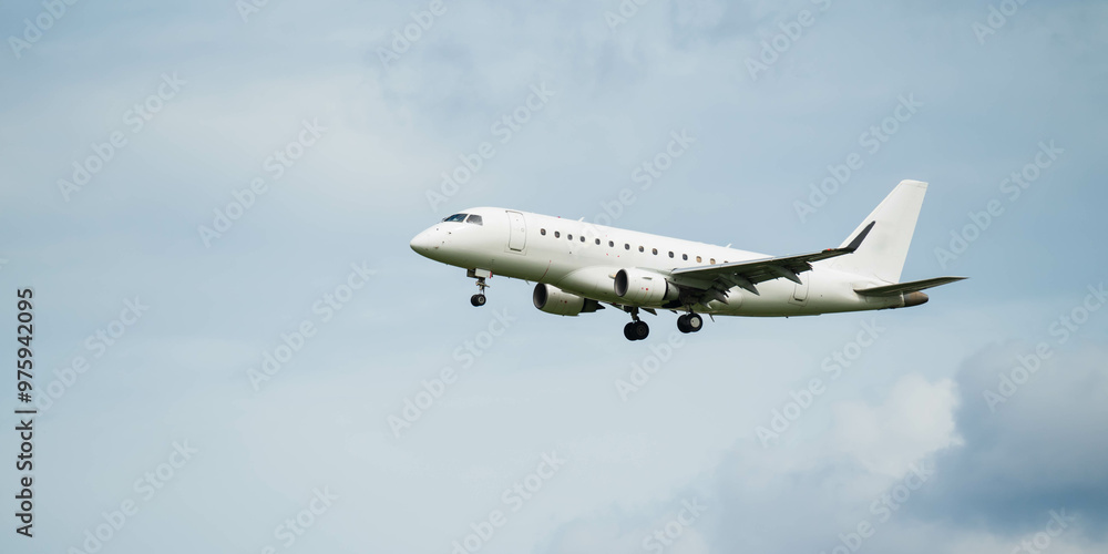 Fototapeta premium 伊丹空港に着陸する飛行機