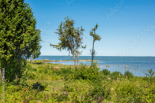 Uugu bluff or cliff on the Muhu Island in Estonia, located by the and near the island of Saaremaa