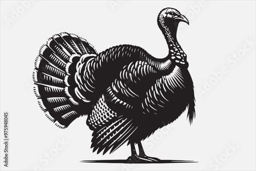 A Beautiful Turkey Silhouette Vector Design.