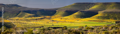 panorama of a valley filled with spring flowers