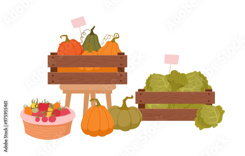Farm vegetables and fruits. Fresh harvest crops at farmers market, basket and wooden boxes full with fruits and veggies flat vector illustration. Farm market products