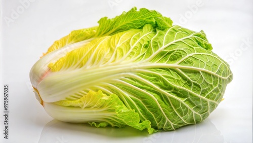 A fresh, vibrant Napa cabbage with crisp, green leaves and a white stalk, perfect for culinary uses and healthy eating