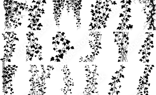 Silhouette of Climbing Vines Illustration Set