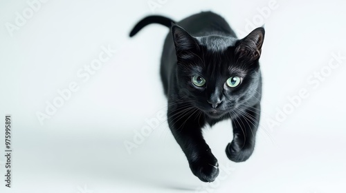 elegant black cat in motion glossy fur catching light piercing green eyes dramatic pose against stark white background feline grace personified