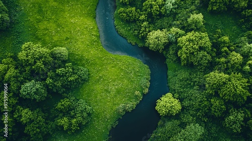 Aerial View of a Winding River Through Lush Green Foliage