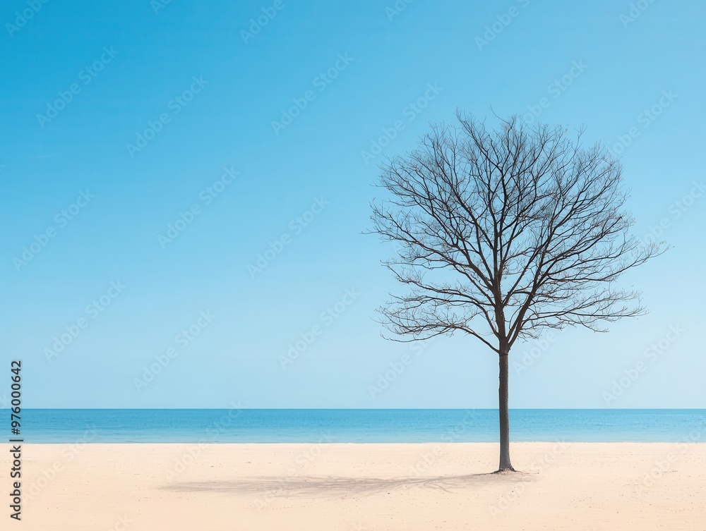 A single tree silhouette with delicate branches, its shadow creating soft waves on an empty beach tree silhouette, shadow, minimalist beach A single tree silhouette with delicate branches, its shadow creating soft waves on an empty beach tree silhouette, shadow, minimalist beach