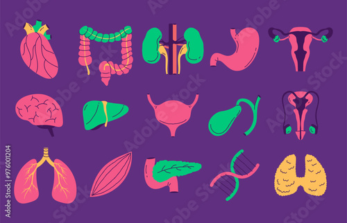 Human internal organs doodle line art style isolated set. Vector graphic design element illustration