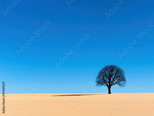 A single tree silhouette standing alone in a wide open field, casting a soft, minimalist shadow tree silhouette, shadow, minimalist