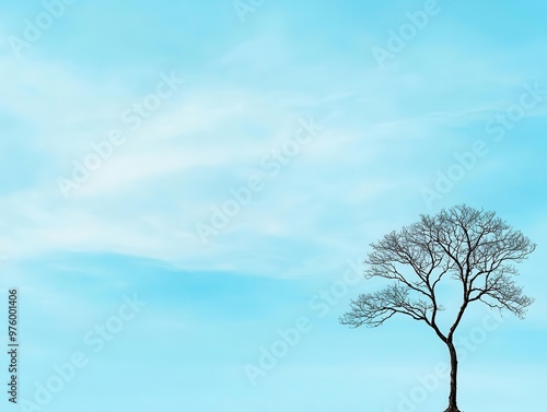 A minimalist tree silhouette framed against a cloudy sky, with its shadow forming simple, geometric patterns tree silhouette, shadow, minimalist sky