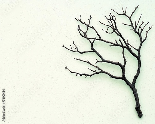 A minimalist tree silhouette with delicate branches, casting a soft shadow on a blank wall tree silhouette, shadow, minimalist
