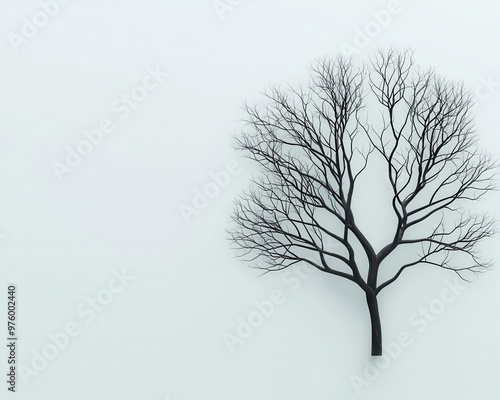 A simple tree silhouette with no leaves, its branches creating intricate shadow designs on a smooth surface tree silhouette, shadow, minimalist