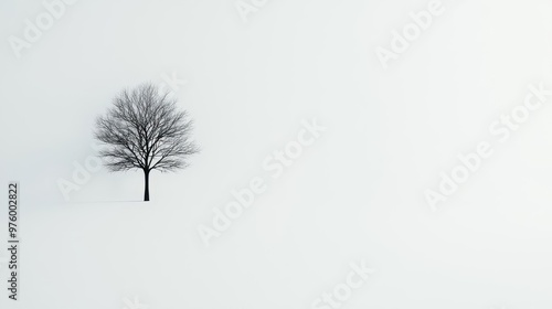 A solitary tree silhouette standing tall against a white background, casting a long, minimalist shadow tree silhouette, shadow, minimalist