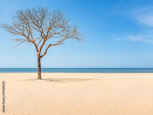 A single tree silhouette with delicate branches, its shadow creating soft waves on an empty beach tree silhouette, shadow, minimalist beach