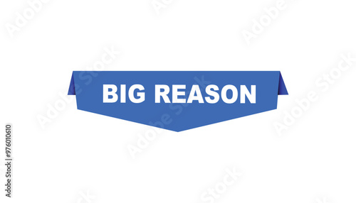 Big reason button web banner templates. Vector Illustration 
