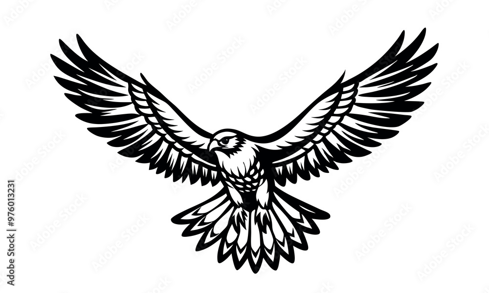Obraz premium hawk flies with its wings spread, black silhouette on a white background