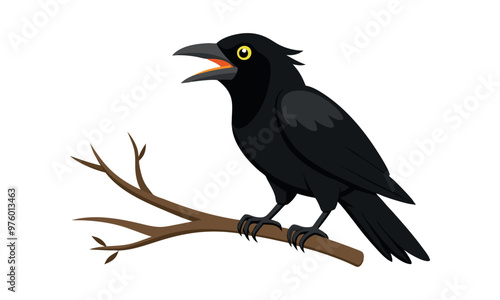 
black crow sitting on a branch, on a white background