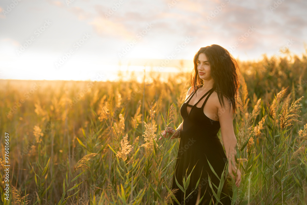 A girl with dark curly hair in a short dress among the grass on the shore of a pond at sunset. A girl with dark curly hair in a short dress among the grass on the shore of a pond at sunset.