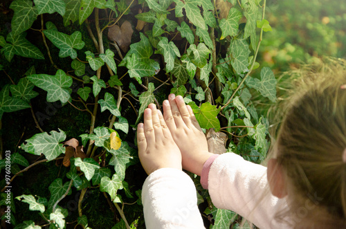 Hands of a little ecologist, child touches the trunk of a tree. Touch of child. Nature in caring hands.