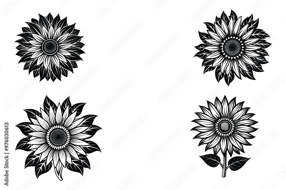 Fototapeta premium This is sunflowers black and white illustration